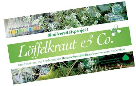 Titelbild der Broschüre "Löffelkraut & Co."